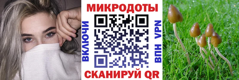 omg как зайти  хочу   даркнет телеграм  Галлюциногенные грибы мухоморы  Мариинск 